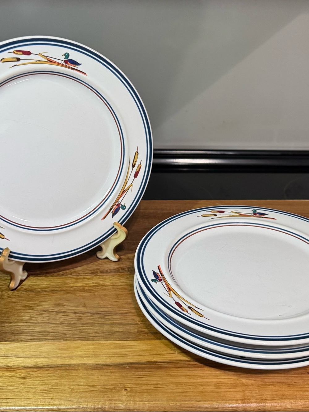 Symmetry White Dinner Plates with Blue Rim and Multicolor Duck Motif